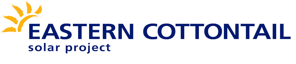 eastern cottontail solar eastern cottontail logo